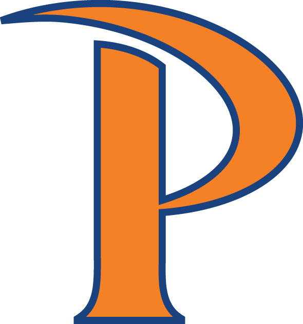Pepperdine Waves 2011-Pres Alternate Logo diy iron on heat transfer